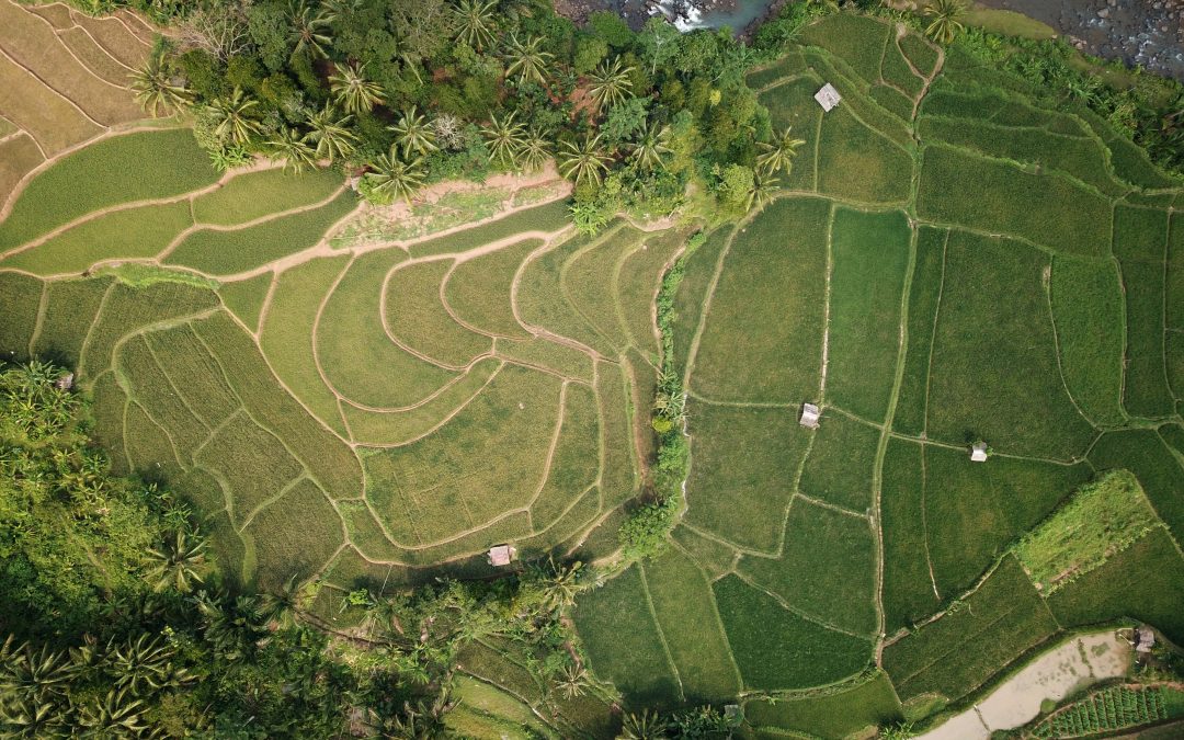 Boundary Dispute Aerial Photographer